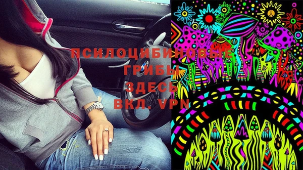2c-b Алексин