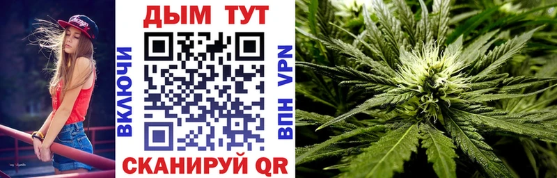 продажа наркотиков  Шадринск  Канабис THC 21% 
